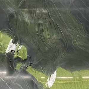 QRTZ – 009 – Avocado Green