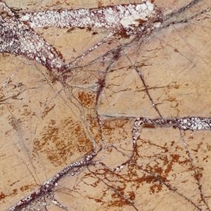 MRBL066 – Rain Forest Gold