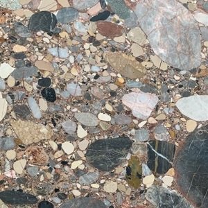 MRBL029 – Ceppo dei volpi