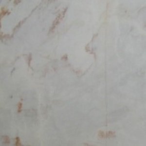 MRBL071 – Rosa Aurora
