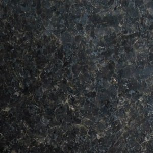 GRNT – 015 – Black Labrador