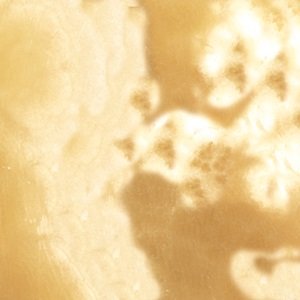 ONX – 011 – Alabastro