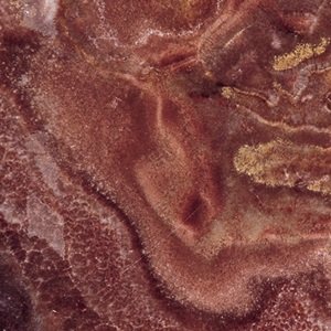 ONX – 012 – Omice tanzania Scuro